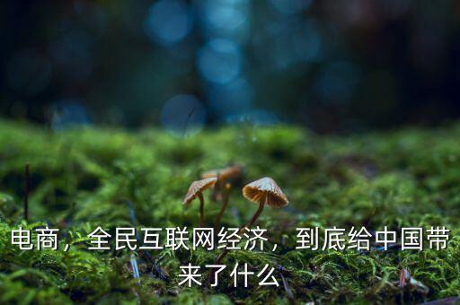 電商，全民互聯(lián)網(wǎng)經(jīng)濟(jì)，到底給中國(guó)帶來(lái)了什么