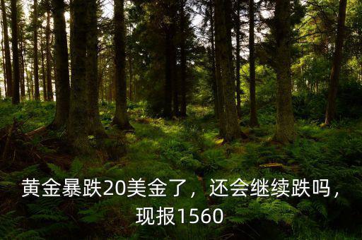 黃金暴跌20美金了，還會繼續(xù)跌嗎，現(xiàn)報1560