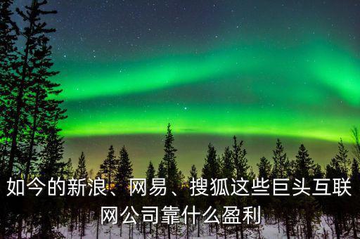 如今的新浪、網(wǎng)易、搜狐這些巨頭互聯(lián)網(wǎng)公司靠什么盈利