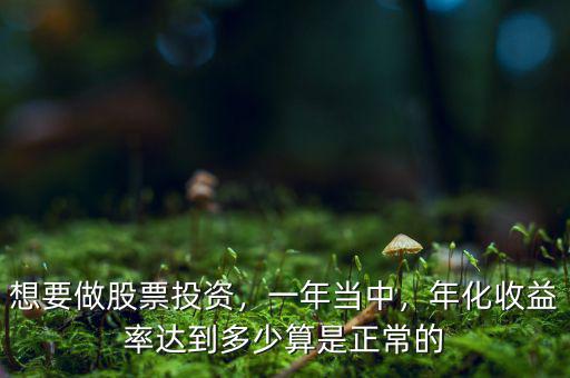 想要做股票投資，一年當(dāng)中，年化收益率達(dá)到多少算是正常的