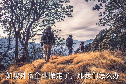 如果外資企業(yè)撤走了，那我們?cè)趺崔k