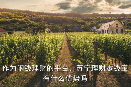 作為閑錢理財?shù)钠脚_，蘇寧理財零錢寶有什么優(yōu)勢嗎