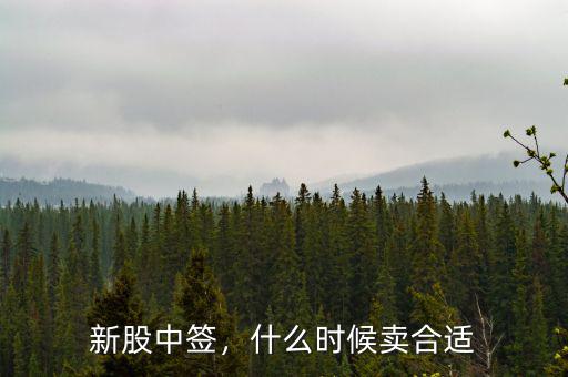 新股中簽，什么時候賣合適