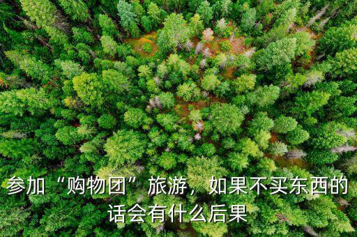 參加“購(gòu)物團(tuán)”旅游，如果不買東西的話會(huì)有什么后果