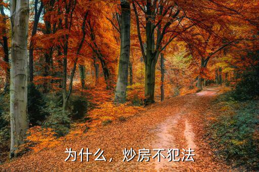 為什么，炒房不犯法