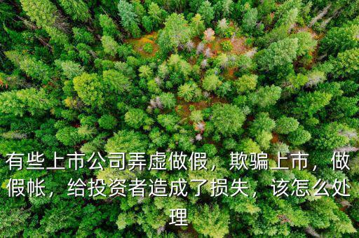 有些上市公司弄虛做假，欺騙上市，做假帳，給投資者造成了損失，該怎么處理