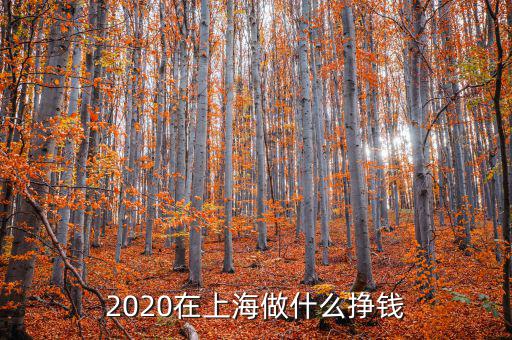 2020在上海做什么掙錢(qián)