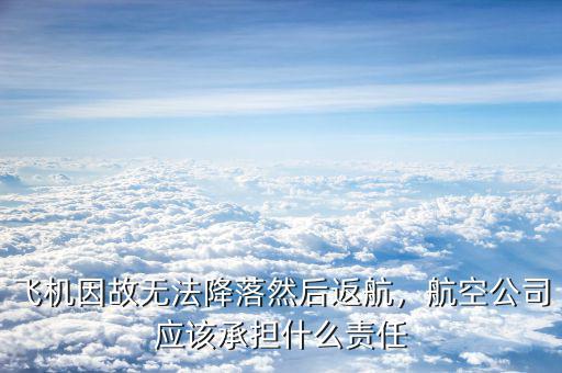 飛機(jī)因故無法降落然后返航，航空公司應(yīng)該承擔(dān)什么責(zé)任
