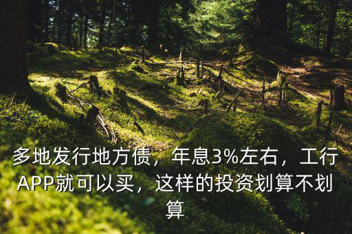 多地發(fā)行地方債，年息3%左右，工行APP就可以買(mǎi)，這樣的投資劃算不劃算