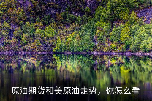 原油期貨和美原油走勢，你怎么看
