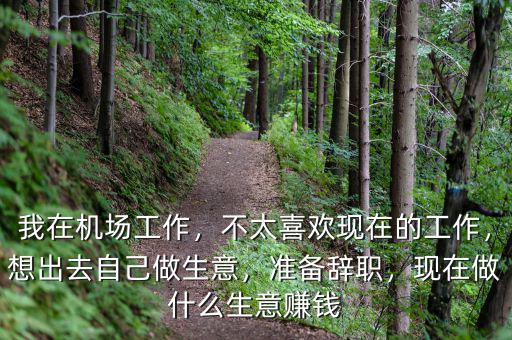 我在機(jī)場(chǎng)工作，不太喜歡現(xiàn)在的工作，想出去自己做生意，準(zhǔn)備辭職，現(xiàn)在做什么生意賺錢