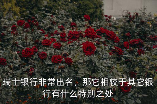 瑞士銀行非常出名，那它相較于其它銀行有什么特別之處