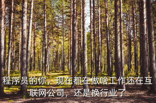 程序員的你，現(xiàn)在都在做啥工作還在互聯(lián)網(wǎng)公司，還是換行業(yè)了