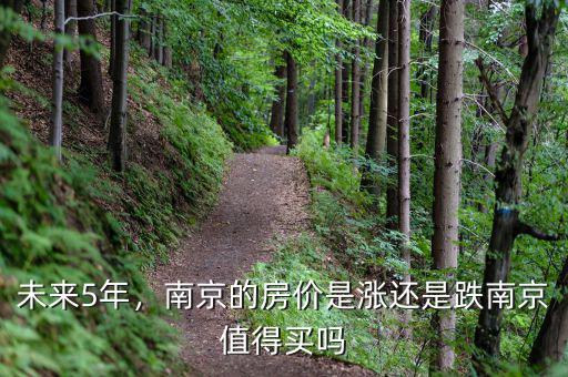 未來(lái)5年，南京的房?jī)r(jià)是漲還是跌南京值得買(mǎi)嗎