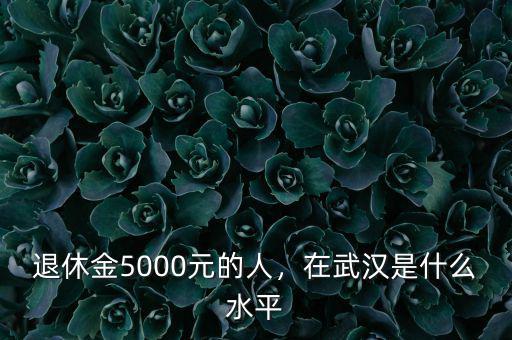 退休金5000元的人，在武漢是什么水平