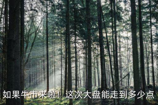 如果牛市來啦！這次大盤能走到多少點