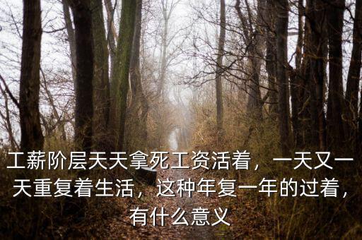 工薪階層天天拿死工資活著，一天又一天重復(fù)著生活，這種年復(fù)一年的過著，有什么意義