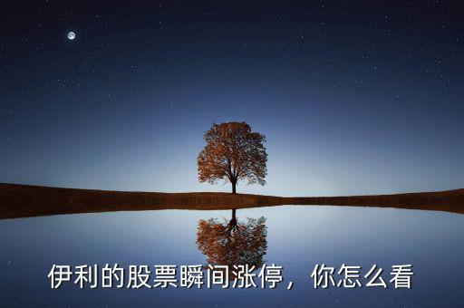 伊利的股票瞬間漲停，你怎么看