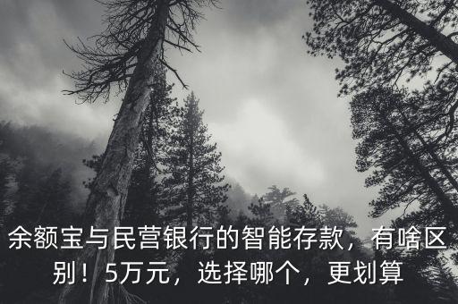 余額寶與民營(yíng)銀行的智能存款，有啥區(qū)別！5萬元，選擇哪個(gè)，更劃算