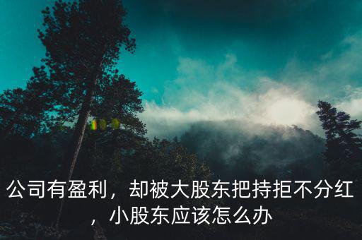 公司有盈利，卻被大股東把持拒不分紅，小股東應(yīng)該怎么辦