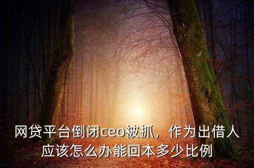 網(wǎng)貸平臺倒閉ceo被抓，作為出借人應(yīng)該怎么辦能回本多少比例