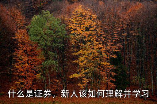 什么是證券，新人該如何理解并學習