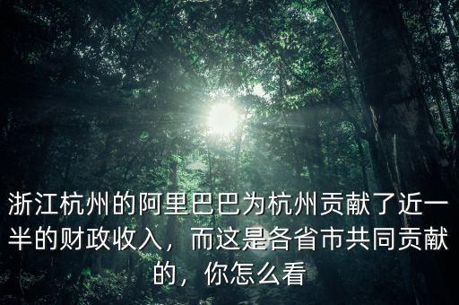 浙江杭州的阿里巴巴為杭州貢獻了近一半的財政收入，而這是各省市共同貢獻的，你怎么看