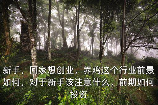 新手，回家想創(chuàng)業(yè)，養(yǎng)雞這個行業(yè)前景如何，對于新手該注意什么，前期如何投資