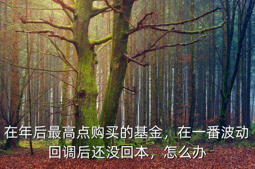 在年后最高點購買的基金，在一番波動回調(diào)后還沒回本，怎么辦