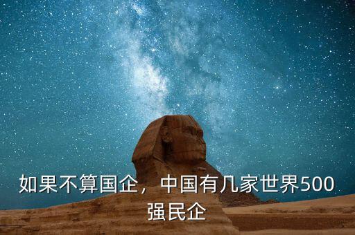 如果不算國企，中國有幾家世界500強民企