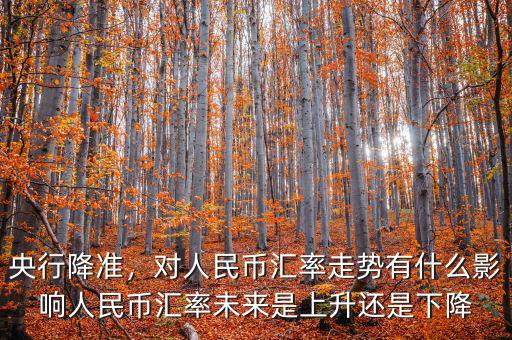 央行降準(zhǔn)，對人民幣匯率走勢有什么影響人民幣匯率未來是上升還是下降