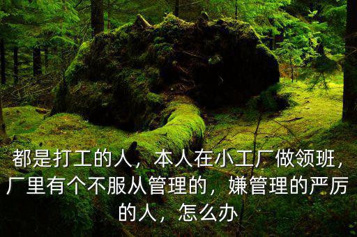 都是打工的人，本人在小工廠做領(lǐng)班，廠里有個(gè)不服從管理的，嫌管理的嚴(yán)厲的人，怎么辦