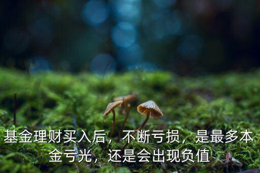 基金理財(cái)買(mǎi)入后，不斷虧損，是最多本金虧光，還是會(huì)出現(xiàn)負(fù)值