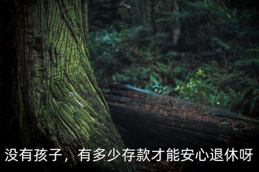 沒有孩子，有多少存款才能安心退休呀