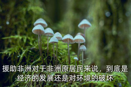 援助非洲對(duì)于非洲原居民來(lái)說(shuō)，到底是經(jīng)濟(jì)的發(fā)展還是對(duì)環(huán)境的破壞