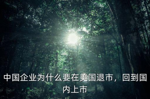 中國企業(yè)為什么要在美國退市，回到國內(nèi)上市
