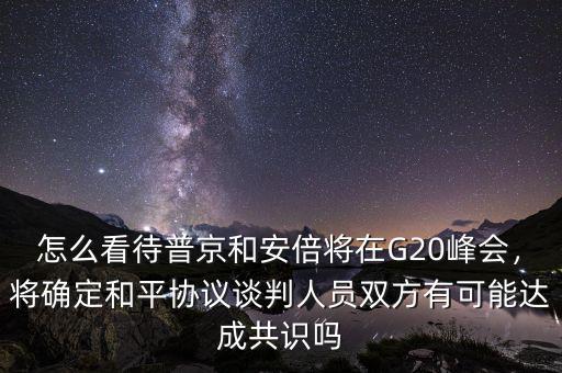怎么看待普京和安倍將在G20峰會(huì)，將確定和平協(xié)議談判人員雙方有可能達(dá)成共識(shí)嗎