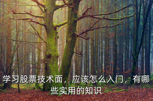 學(xué)習(xí)股票技術(shù)面，應(yīng)該怎么入門(mén)，有哪些實(shí)用的知識(shí)