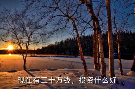 現(xiàn)在有三十萬錢，投資什么好