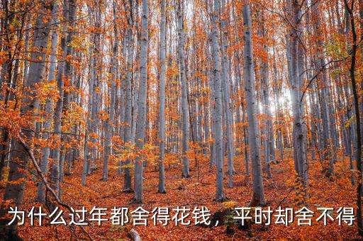 為什么過年都舍得花錢，平時卻舍不得