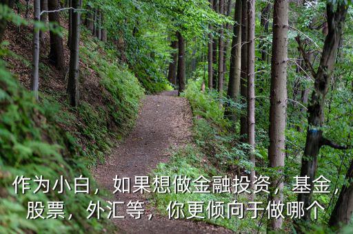 作為小白，如果想做金融投資，基金，股票，外匯等，你更傾向于做哪個(gè)