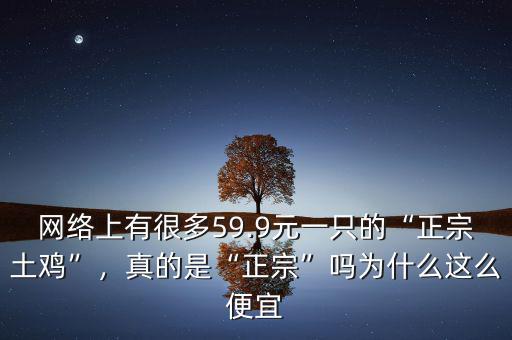 網絡上有很多59.9元一只的“正宗土雞”，真的是“正宗”嗎為什么這么便宜