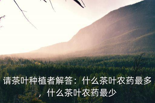 請(qǐng)茶葉種植者解答：什么茶葉農(nóng)藥最多，什么茶葉農(nóng)藥最少