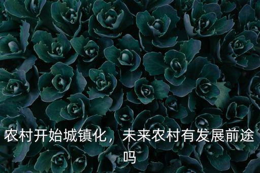 農(nóng)村開始城鎮(zhèn)化，未來農(nóng)村有發(fā)展前途嗎