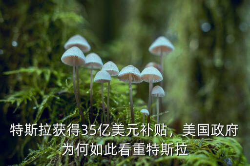 特斯拉獲得35億美元補(bǔ)貼，美國政府為何如此看重特斯拉