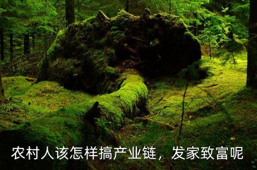 農(nóng)村人該怎樣搞產(chǎn)業(yè)鏈，發(fā)家致富呢