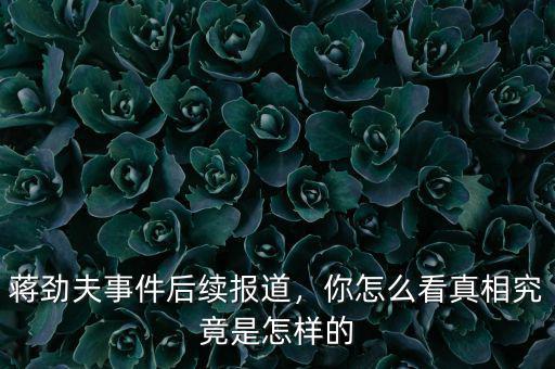 蔣勁夫事件后續(xù)報道，你怎么看真相究竟是怎樣的