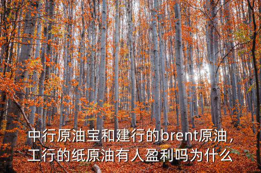 中行原油寶和建行的brent原油，工行的紙?jiān)陀腥擞麊釣槭裁? class=