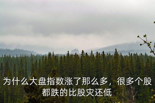 為什么大盤(pán)指數(shù)漲了那么多，很多個(gè)股都跌的比股災(zāi)還低
