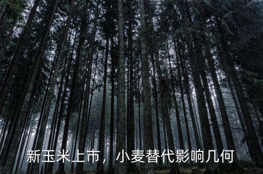 新玉米上市，小麥替代影響幾何